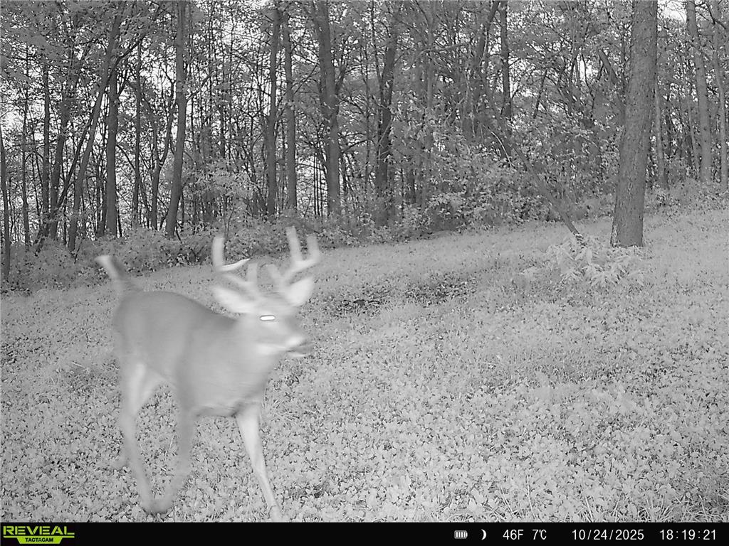 W27022 Whistle Pass Road Dodge WI 54661 7007838 image78