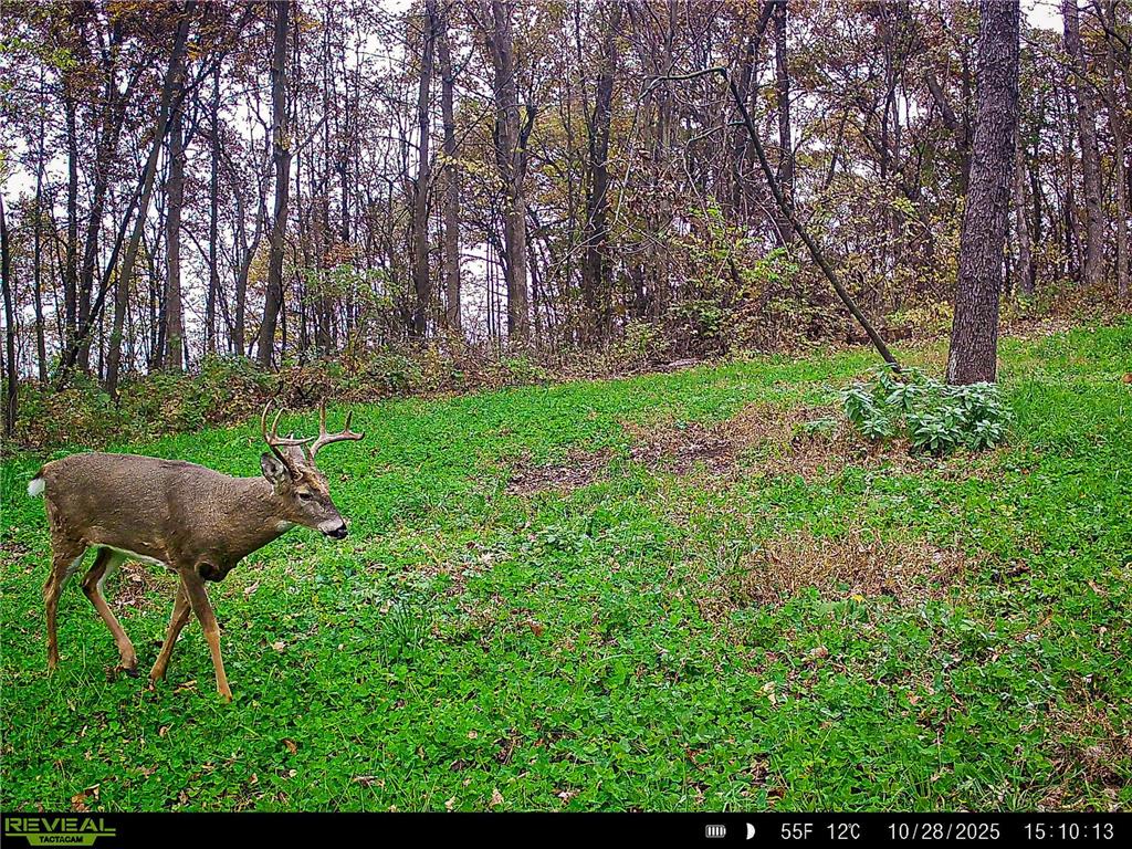 W27022 Whistle Pass Road Dodge WI 54661 7007838 image79