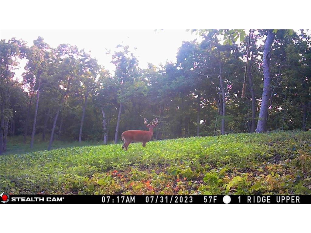 W27022 Whistle Pass Road Dodge WI 54661 7007838 image80