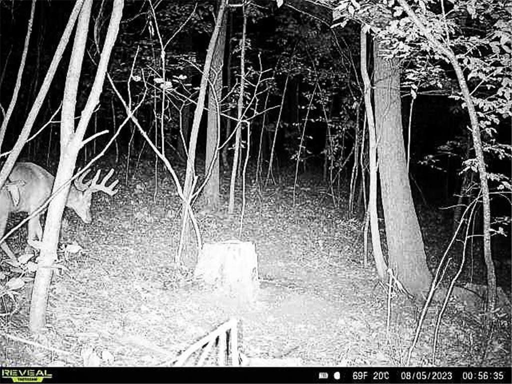 W27022 Whistle Pass Road Dodge WI 54661 7007838 image81