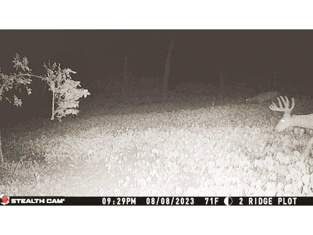 W27022 Whistle Pass Road Dodge WI 54661 7007838 image82