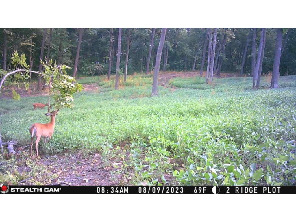 W27022 Whistle Pass Road Dodge WI 54661 7007838 image83