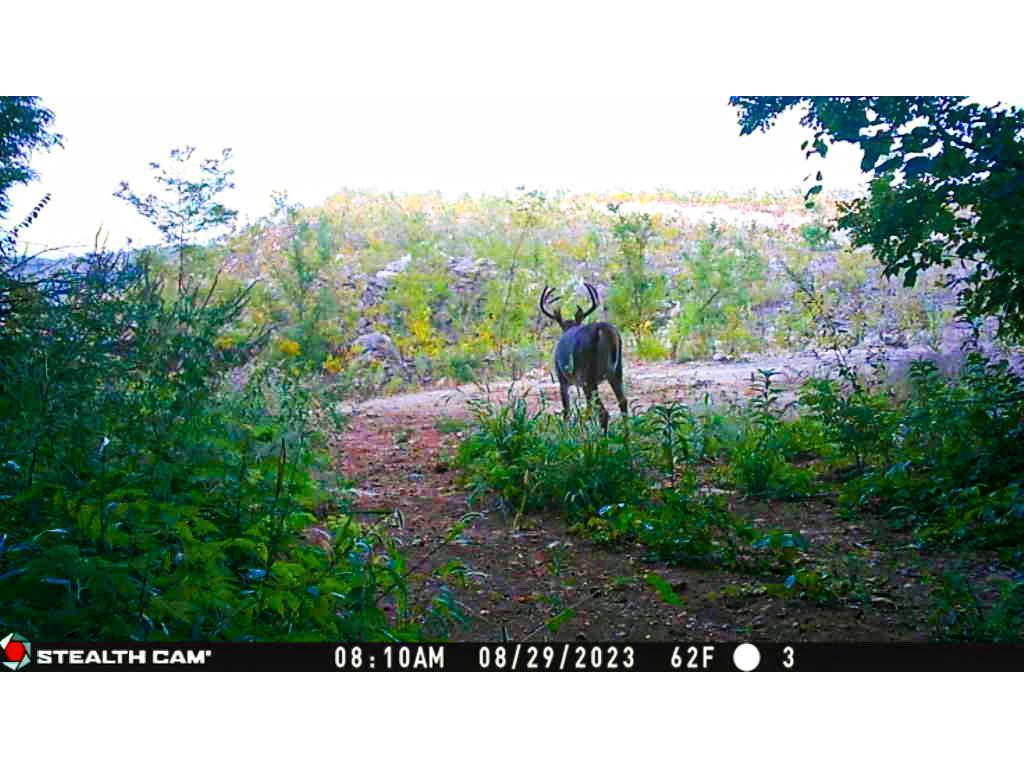 W27022 Whistle Pass Road Dodge WI 54661 7007838 image84