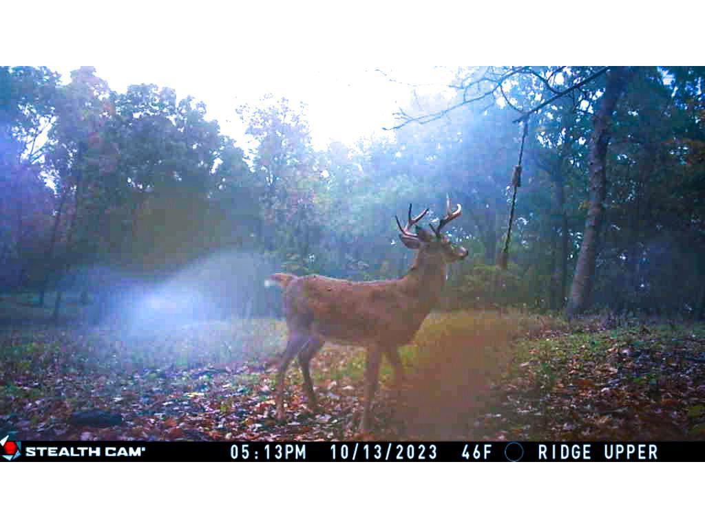 W27022 Whistle Pass Road Dodge WI 54661 7007838 image86