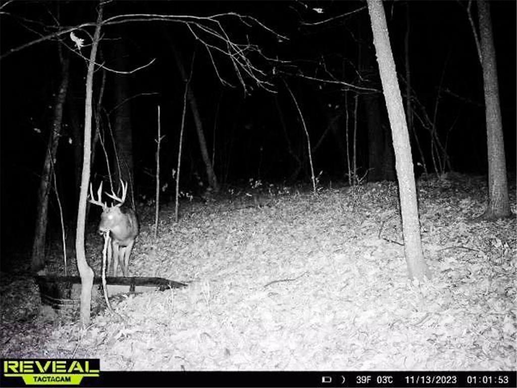 W27022 Whistle Pass Road Dodge WI 54661 7007838 image87