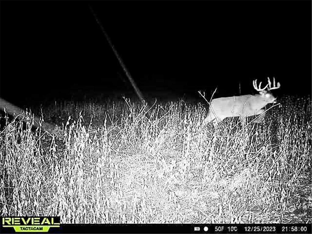 W27022 Whistle Pass Road Dodge WI 54661 7007838 image88