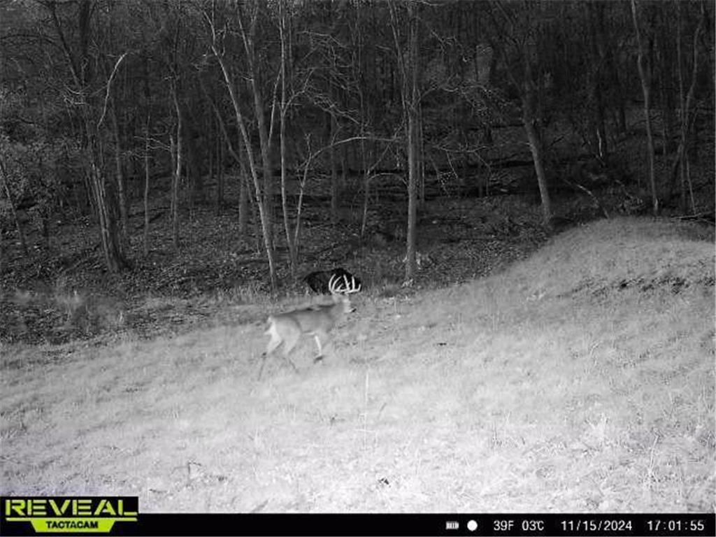 W27022 Whistle Pass Road Dodge WI 54661 7007838 image9