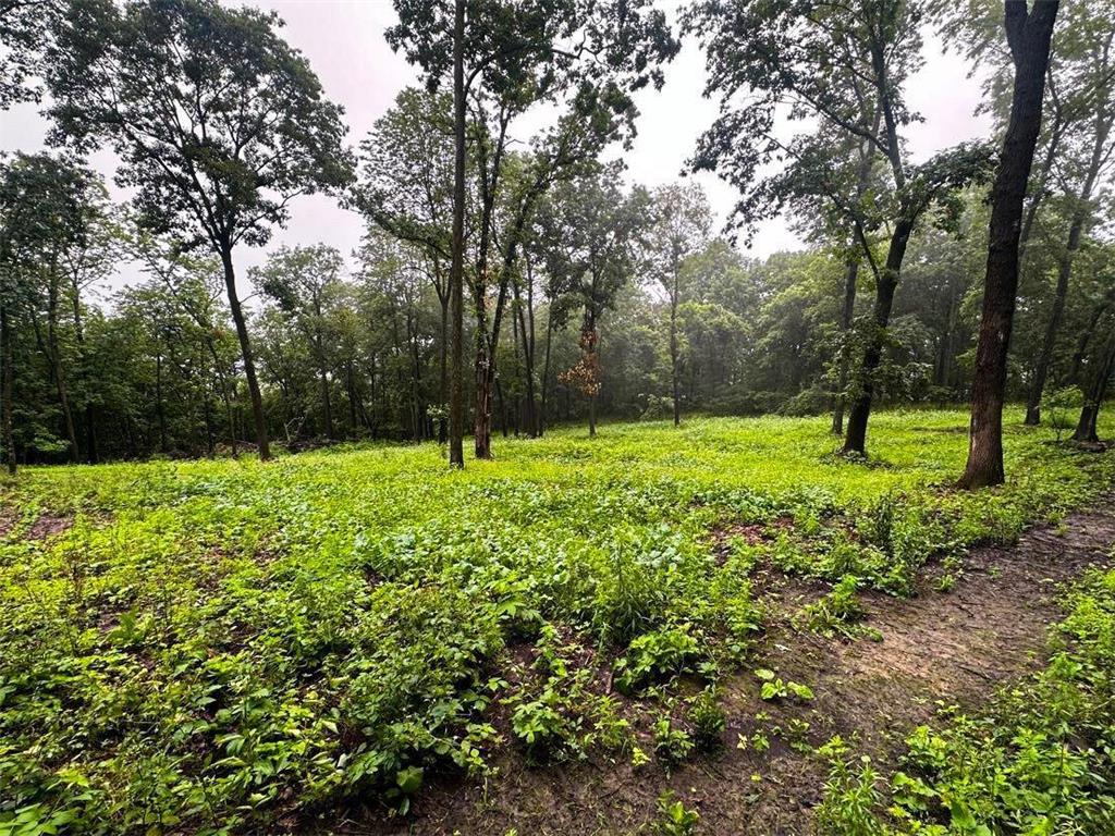 W27022 Whistle Pass Road Dodge WI 54661 7007838 image91