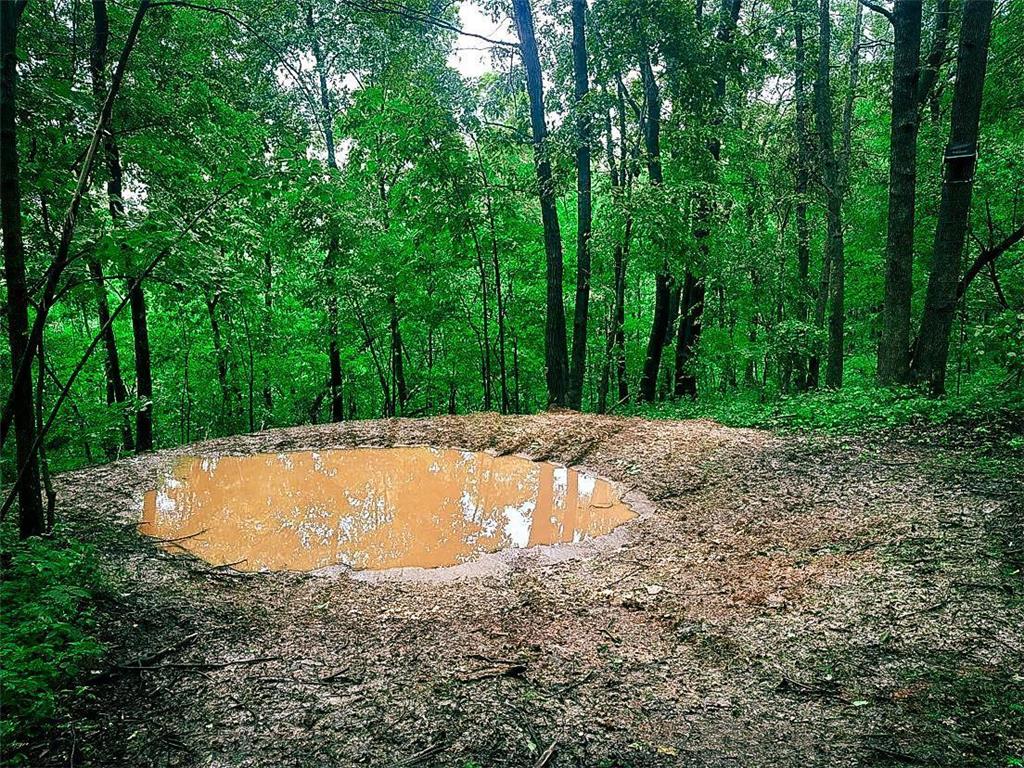 W27022 Whistle Pass Road Dodge WI 54661 7007838 image92