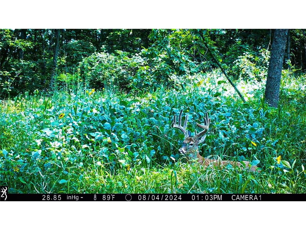 W27022 Whistle Pass Road Dodge WI 54661 7007838 image94