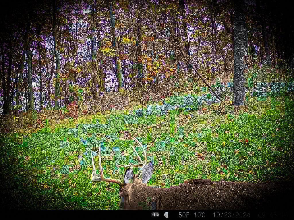 W27022 Whistle Pass Road Dodge WI 54661 7007838 image95