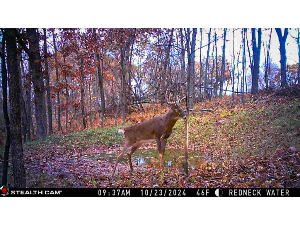 W27022 Whistle Pass Road Dodge WI 54661 7007838 image96