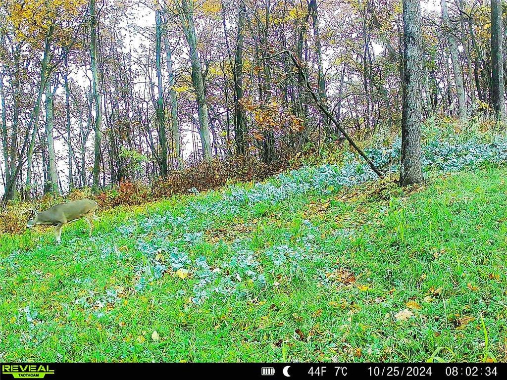 W27022 Whistle Pass Road Dodge WI 54661 7007838 image97