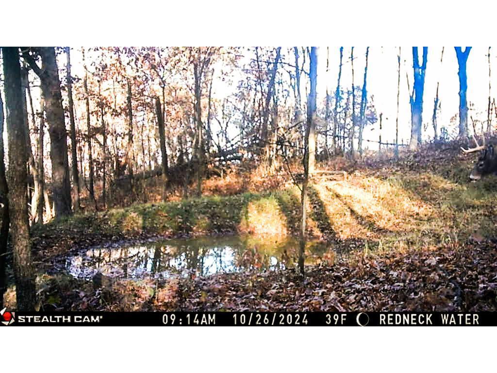 W27022 Whistle Pass Road Dodge WI 54661 7007838 image98