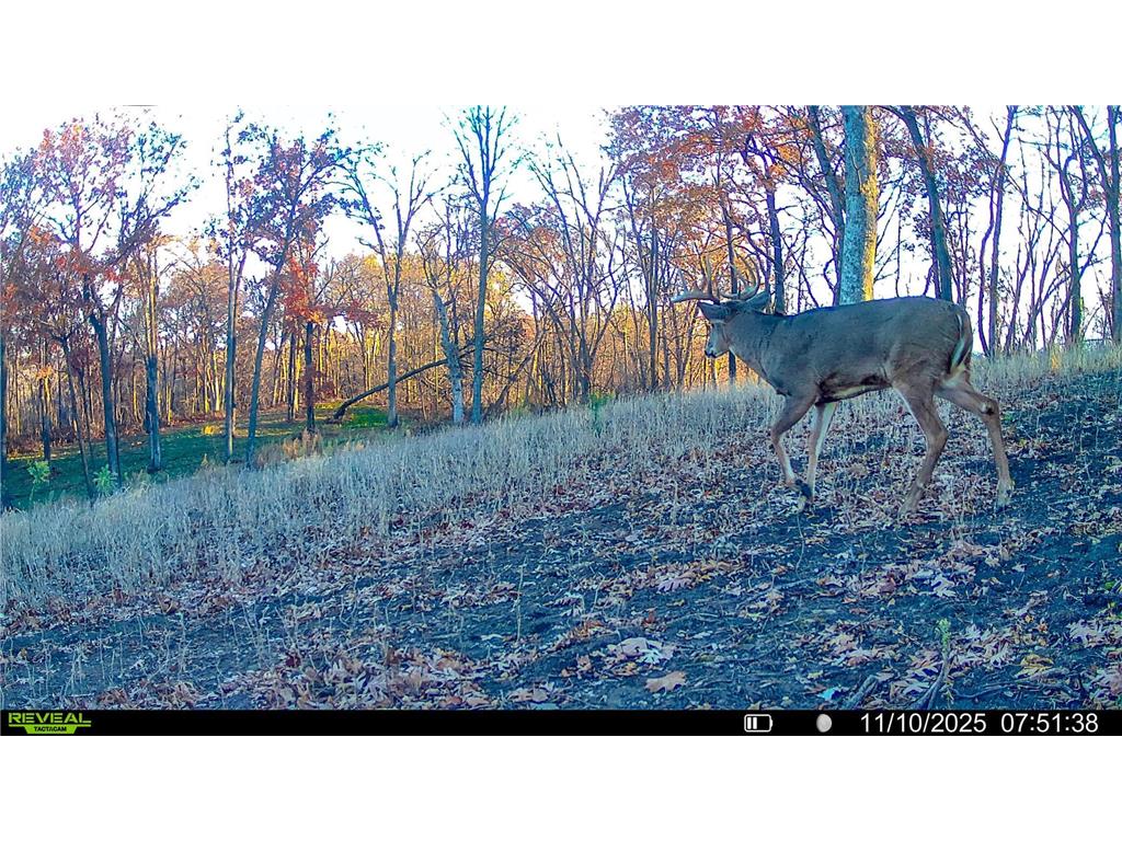 W27022 Whistle Pass Road Dodge WI 54661 7007838 image99