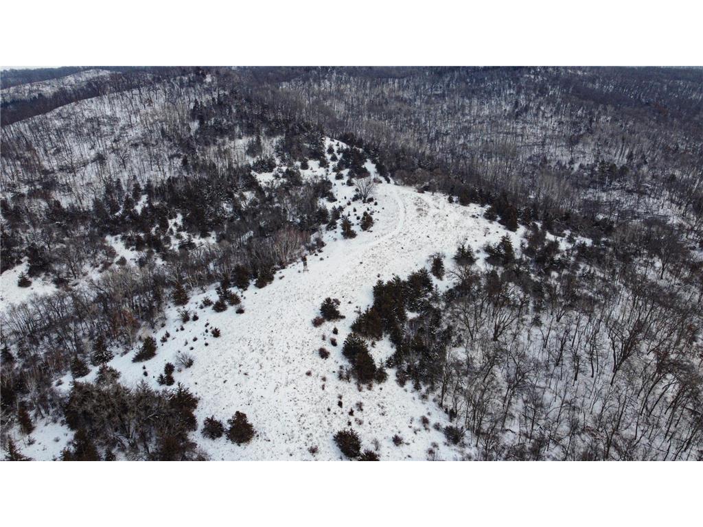 W3740 Evenson Road Farmington Twp WI 54644 7006274 image15