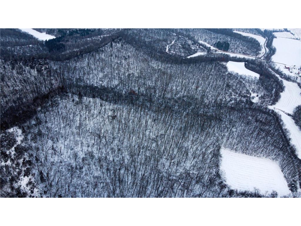 W3740 Evenson Road Farmington Twp WI 54644 7006274 image20