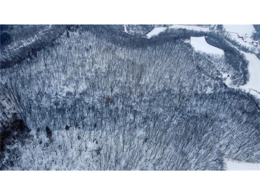 W3740 Evenson Road Farmington Twp WI 54644 7006274 image21