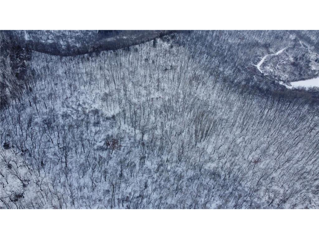 W3740 Evenson Road Farmington Twp WI 54644 7006274 image22