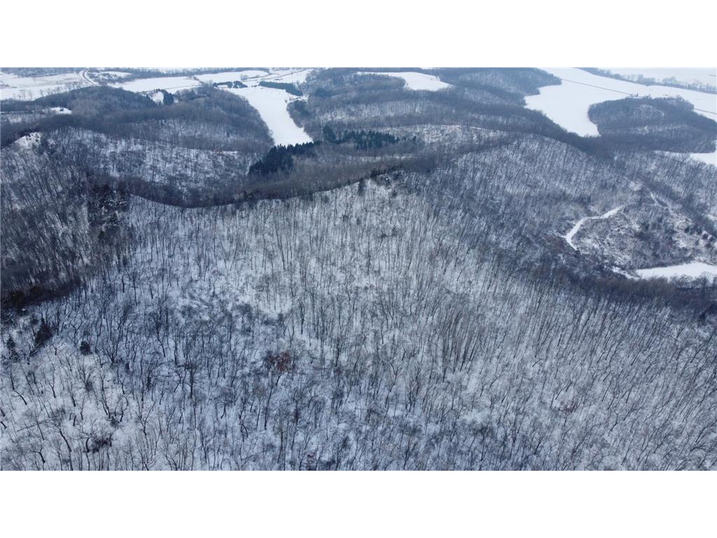 W3740 Evenson Road Farmington Twp WI 54644 7006274 image23