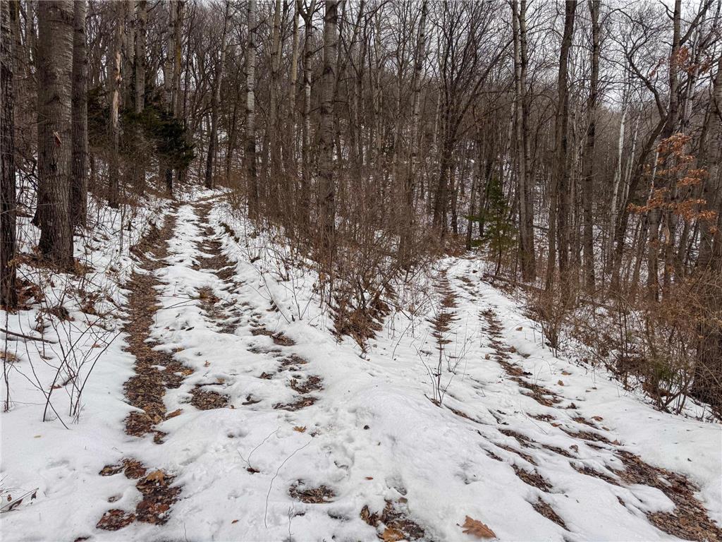 W3740 Evenson Road Farmington Twp WI 54644 7006274 image28