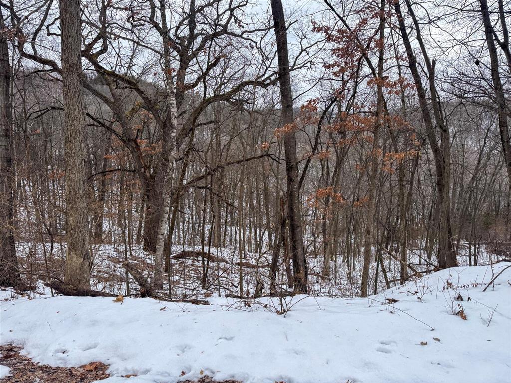 W3740 Evenson Road Farmington Twp WI 54644 7006274 image29