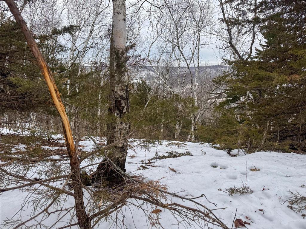 W3740 Evenson Road Farmington Twp WI 54644 7006274 image30