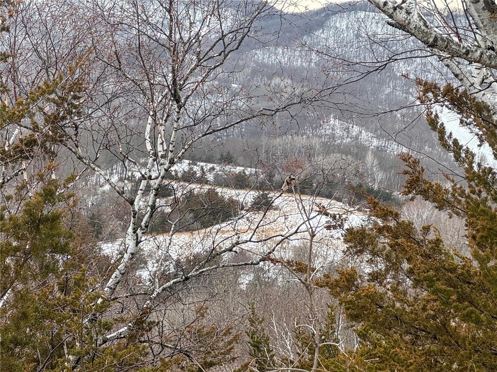 W3740 Evenson Road Farmington Twp WI 54644 7006274 image31