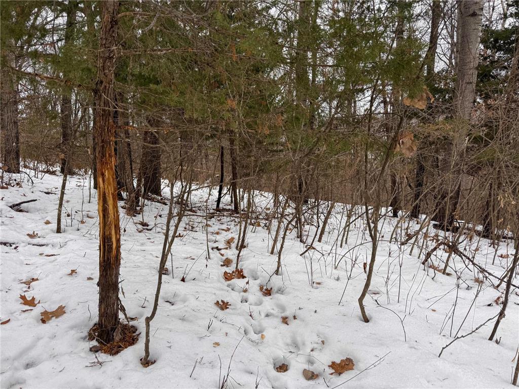 W3740 Evenson Road Farmington Twp WI 54644 7006274 image33