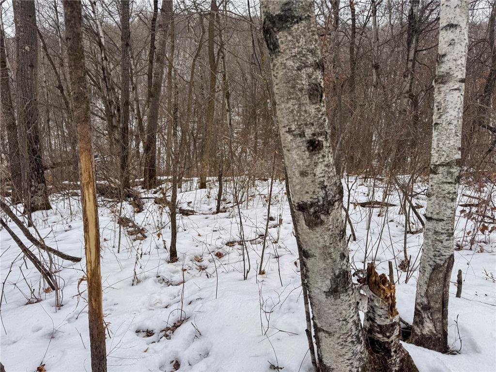 W3740 Evenson Road Farmington Twp WI 54644 7006274 image34