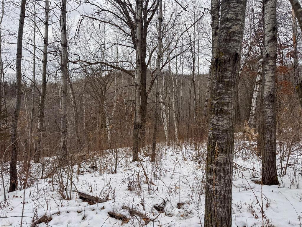 W3740 Evenson Road Farmington Twp WI 54644 7006274 image35