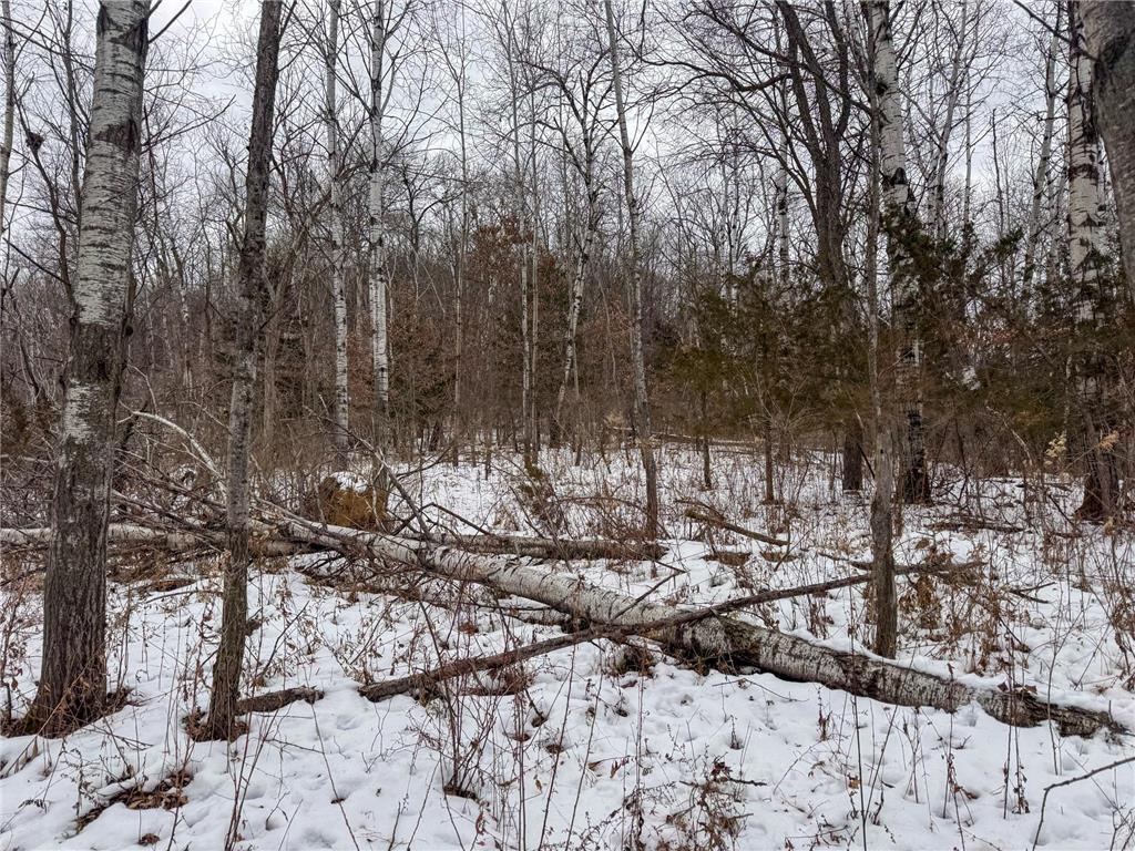 W3740 Evenson Road Farmington Twp WI 54644 7006274 image36