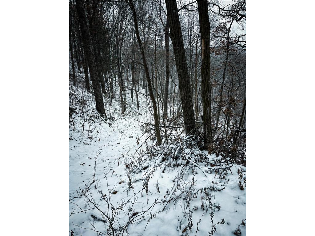 W3740 Evenson Road Farmington Twp WI 54644 7006274 image50