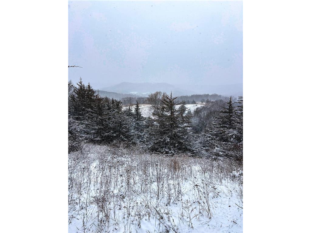 W3740 Evenson Road Farmington Twp WI 54644 7006274 image52