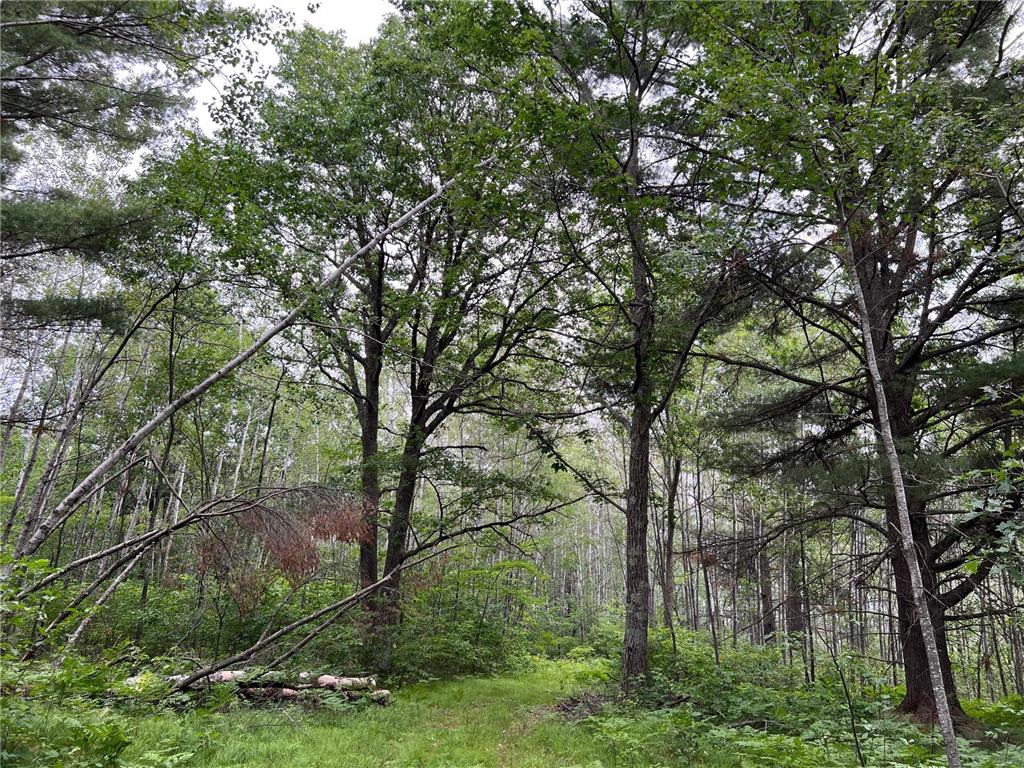 W37XX Frog Creek Road Minong WI 54859 - Frog Creek 6684285 image14