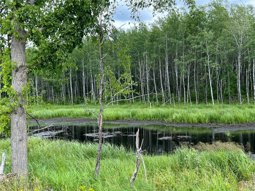 W37XX Frog Creek Road Minong WI 54859 - Frog Creek 6684285 image17