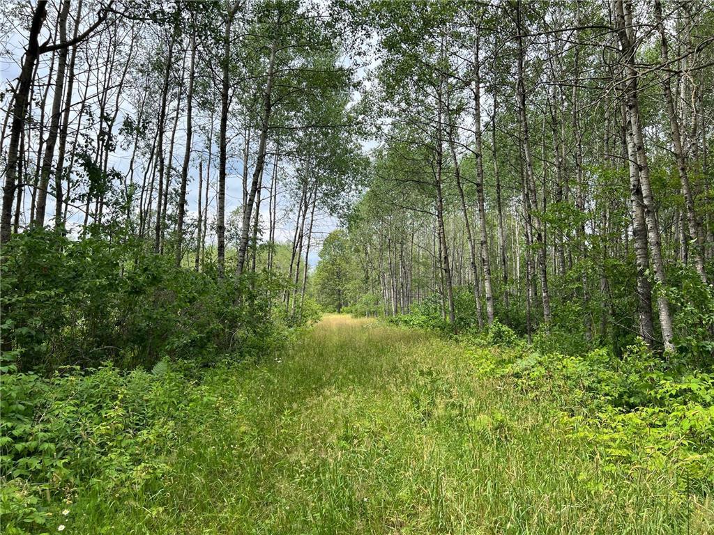 W37XX Frog Creek Road Minong WI 54859 - Frog Creek 6684285 image2