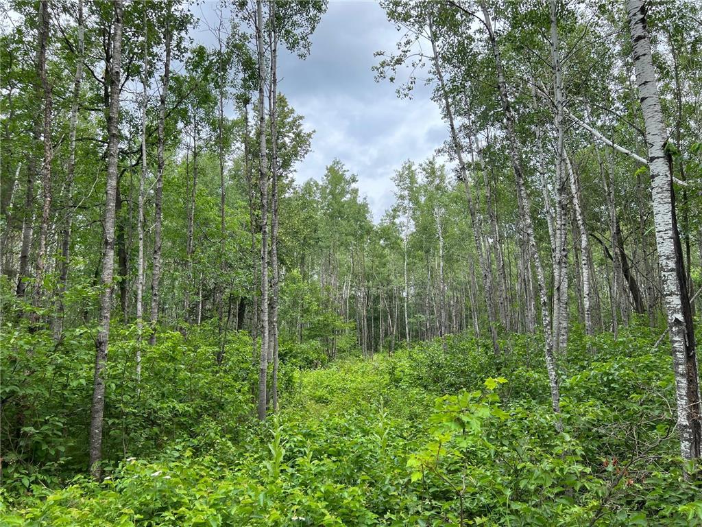 W37XX Frog Creek Road Minong WI 54859 - Frog Creek 6684285 image31