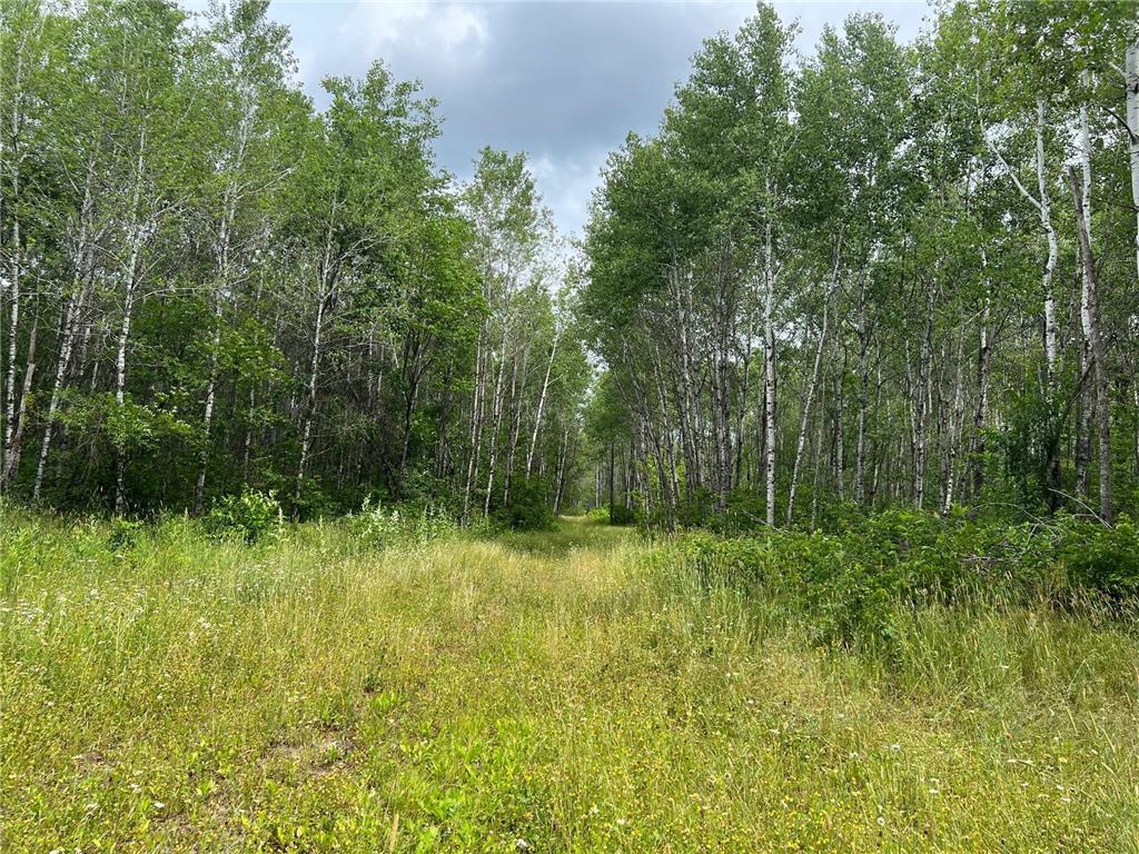 W37XX Frog Creek Road Minong WI 54859 - Frog Creek 6684285 image32