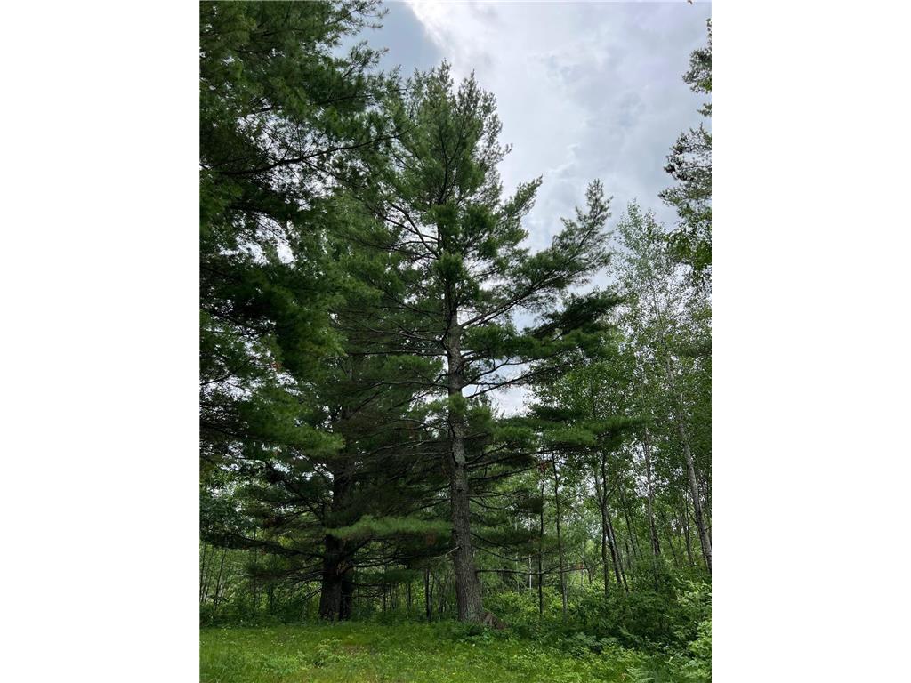 W37XX Frog Creek Road Minong WI 54859 - Frog Creek 6684285 image46