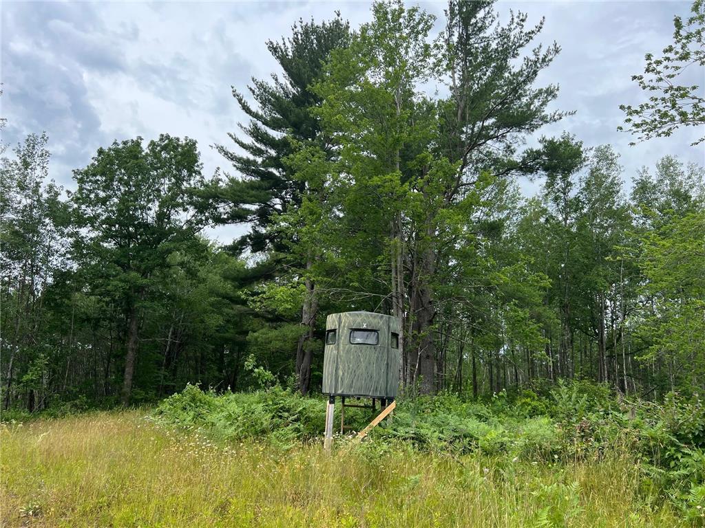 W37XX Frog Creek Road Minong WI 54859 - Frog Creek 6684285 image9