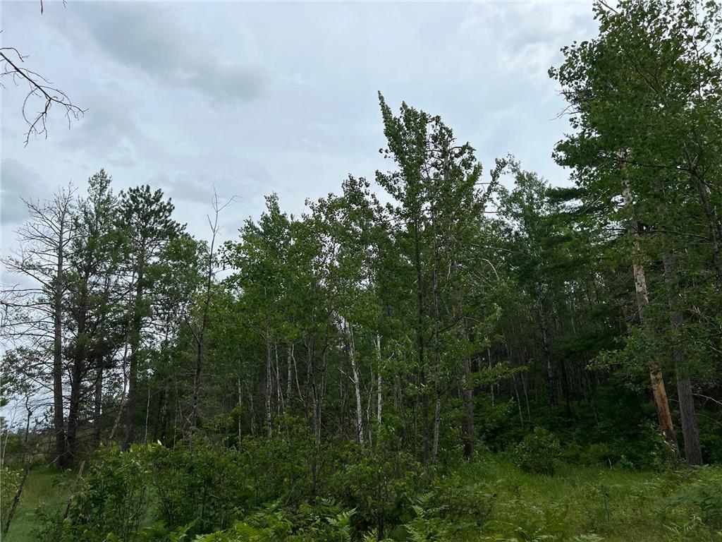 W37XX Frog Creek Road Minong WI 54859 - Frog Creek 7005849 image36