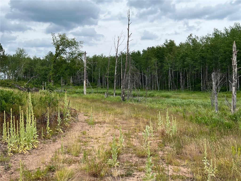 W37XX Frog Creek Road Minong WI 54859 - Frog Creek 7005849 image43