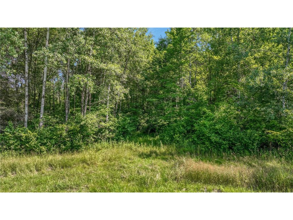 W3828 Walrath Road Lawrence Twp WI 54526 - Bear Creek 6762889 image25