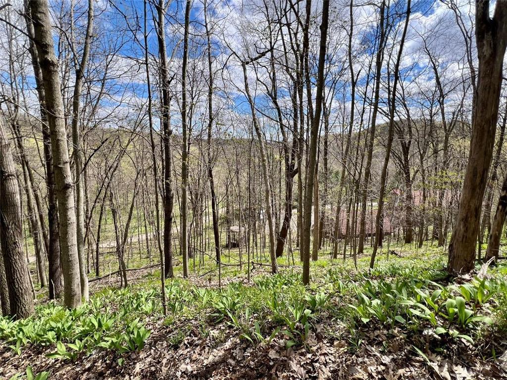 W3948 465th Avenue El Paso Twp WI 54011 - Rush River 7061021 image75