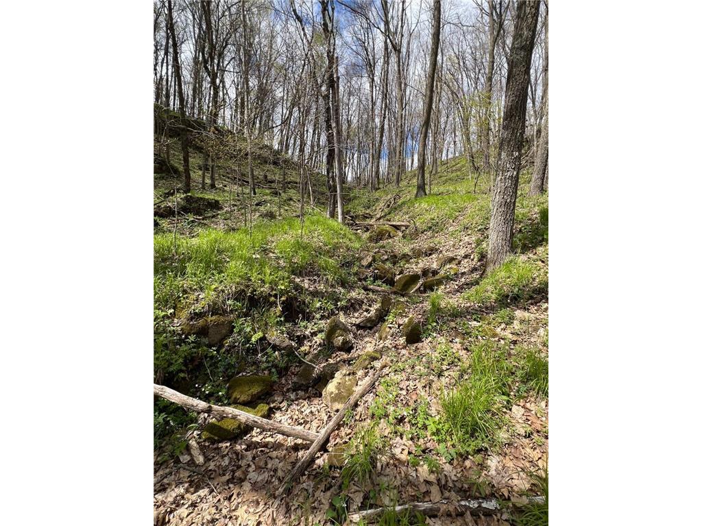 W3948 465th Avenue El Paso Twp WI 54011 - Rush River 7061021 image76