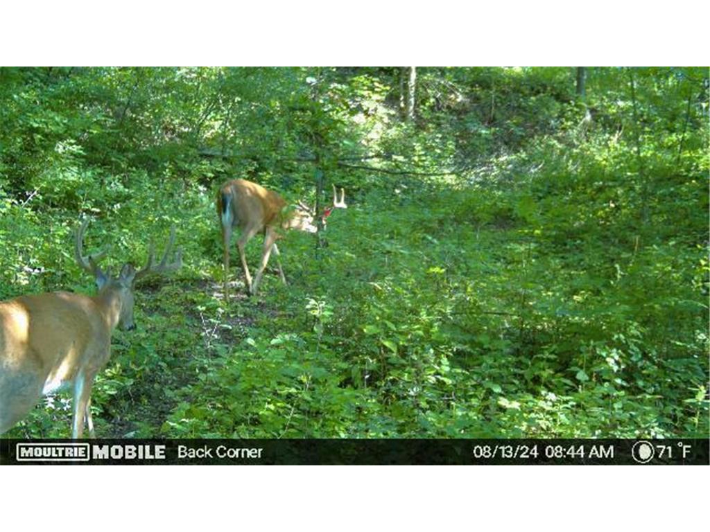 W4824 Puent Road Barre Twp WI 54601 7043910 image17