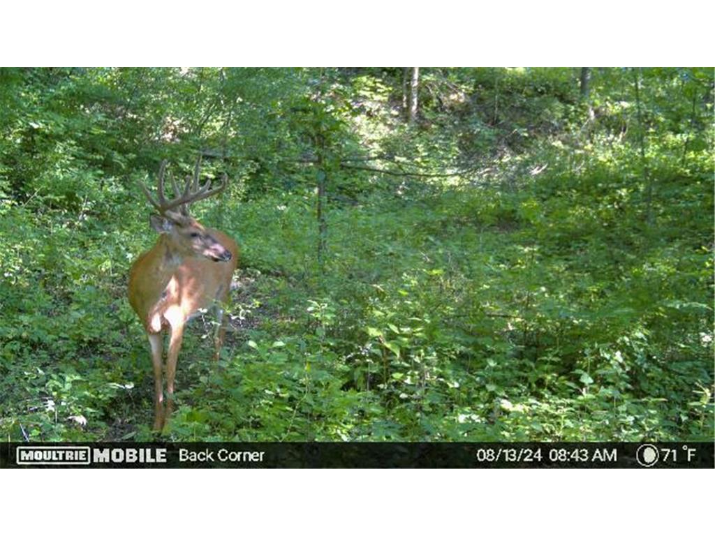 W4824 Puent Road Barre Twp WI 54601 7043910 image18