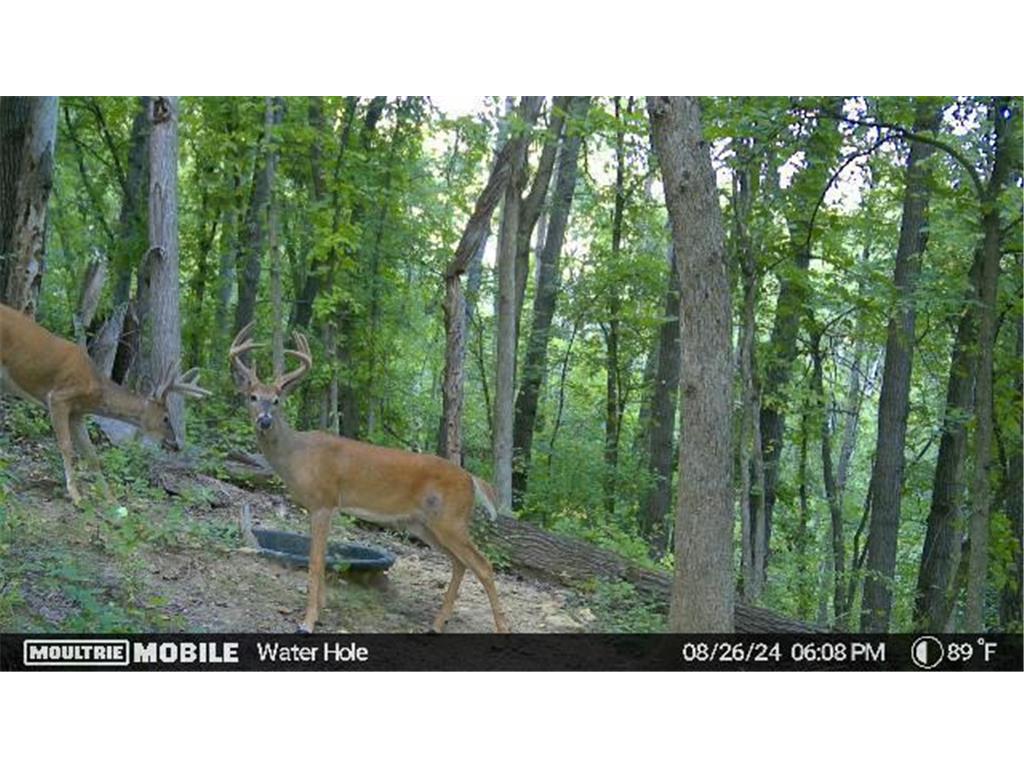 W4824 Puent Road Barre Twp WI 54601 7043910 image19