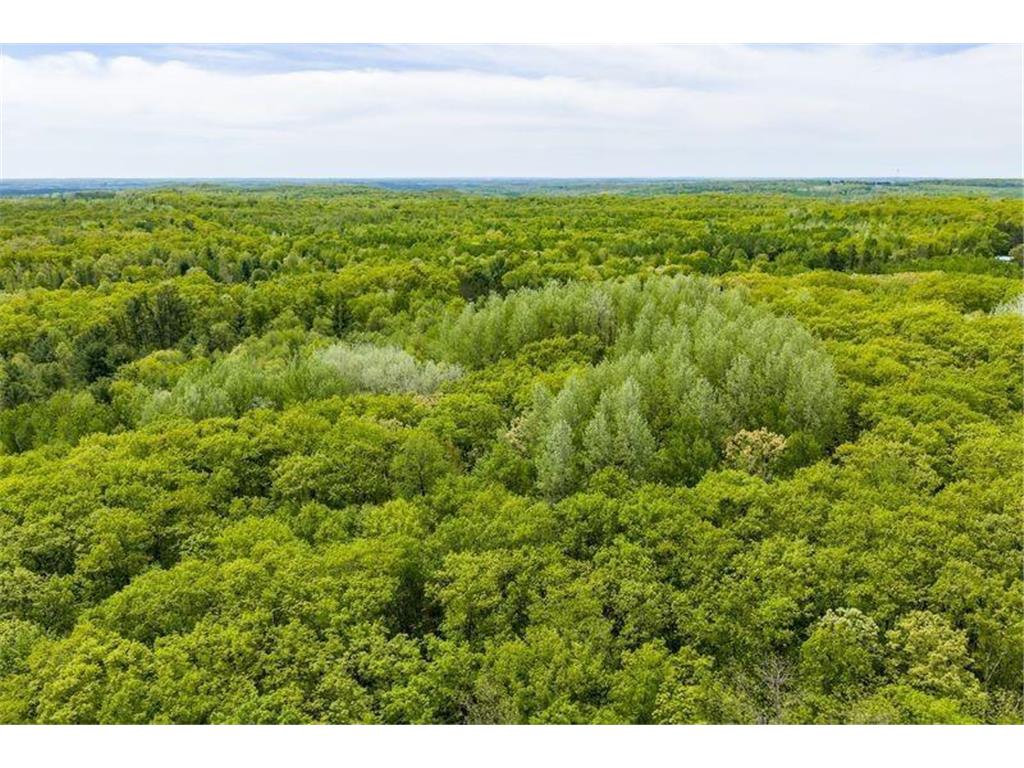 W4902 County Highway F Gull Lake Twp WI 54875 7083356 image56